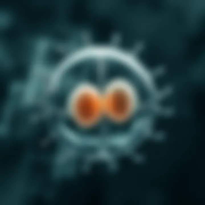 Diagram showing a single-celled organism dividing into two identical cells through binary fission