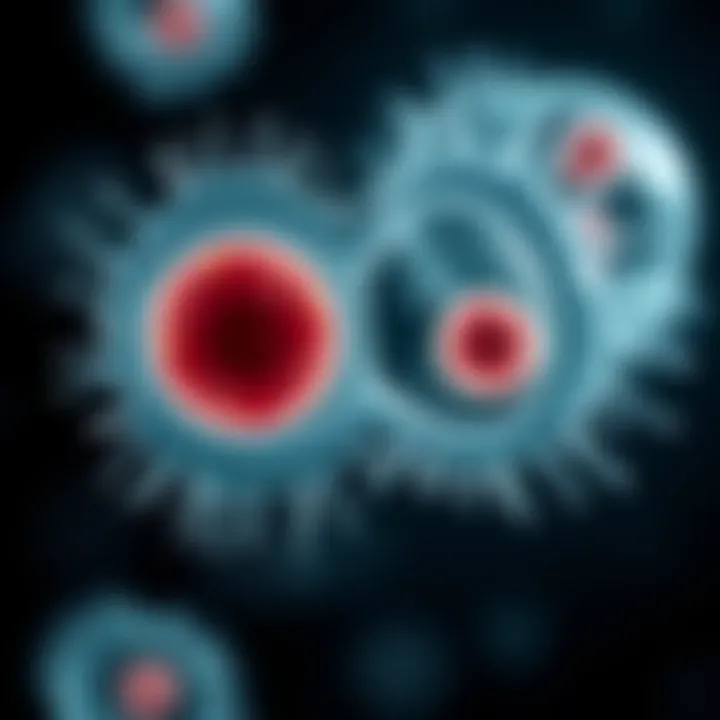 Diagram showing the division of an amoeba cell into two daughter cells through binary fission